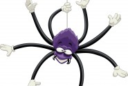 Spider