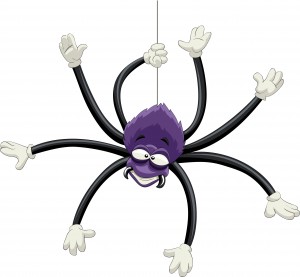 Spider