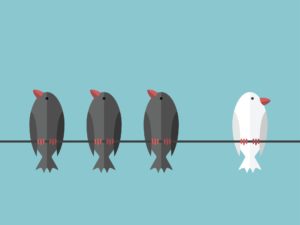 odd one out