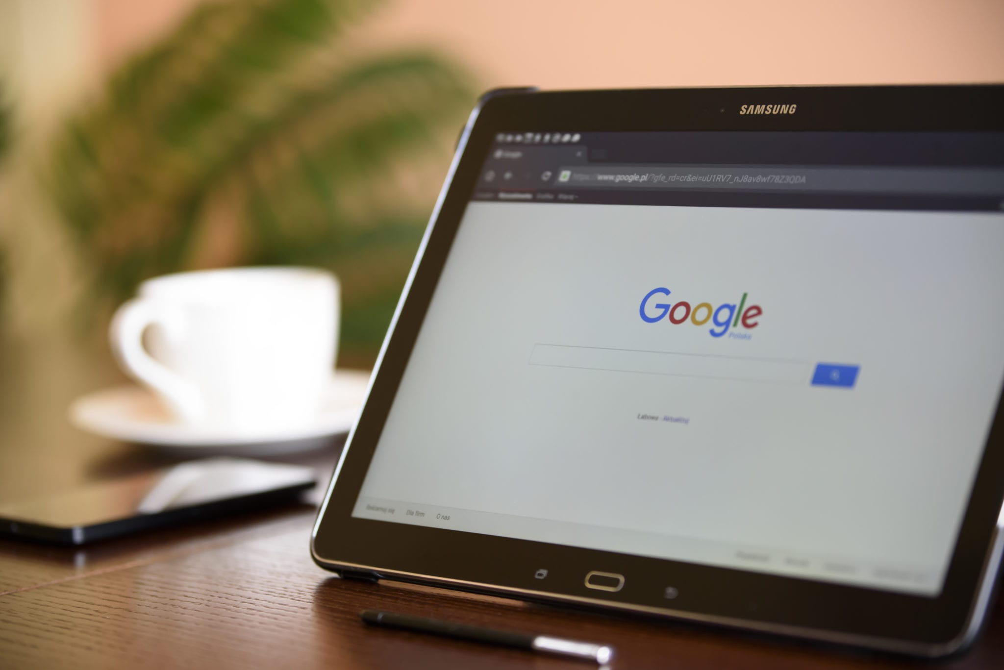 what are people searching for in google